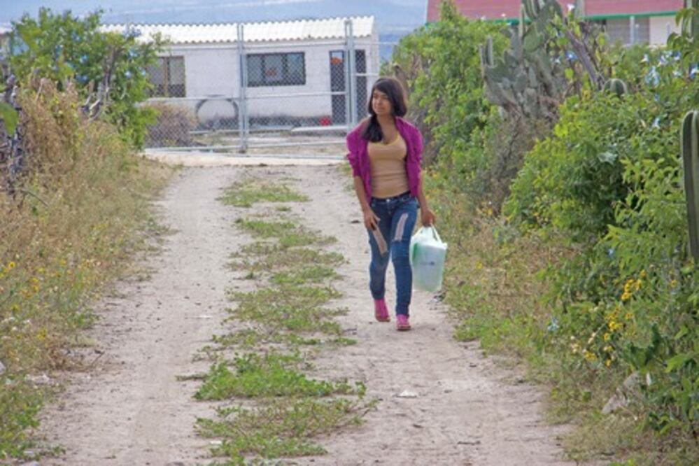 Prometen en SJR regular en corto plazo 20 asentamientos