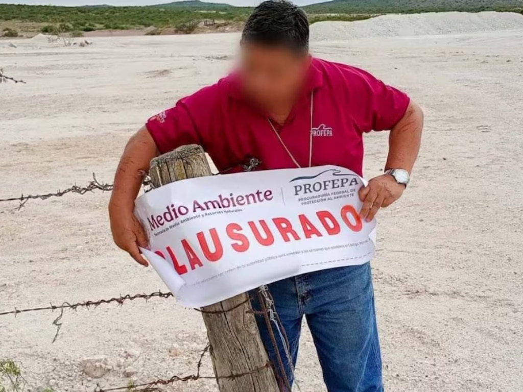 Inspectores de Profepa clausuran ejido Mesatunich, en Yucatán; comunidades menonitas han devastado 147 hectáreas de selva