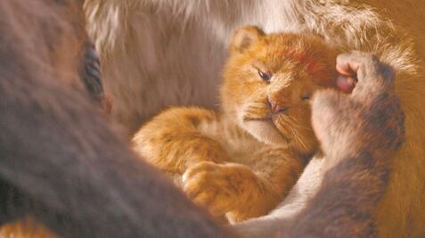 Rey León, laborioso pero sin alma