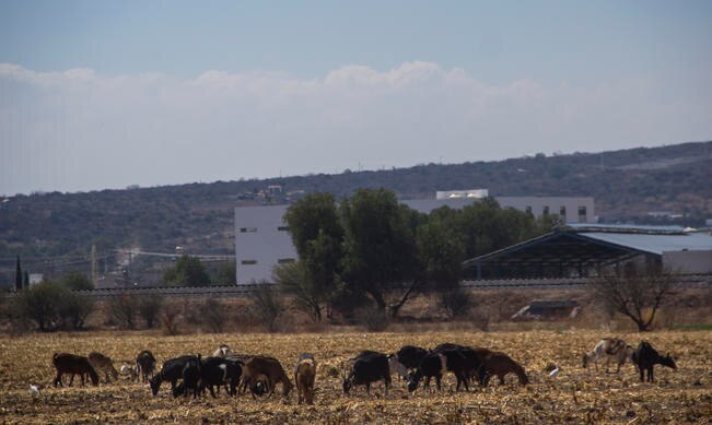 Unacam, un rancho de investigación