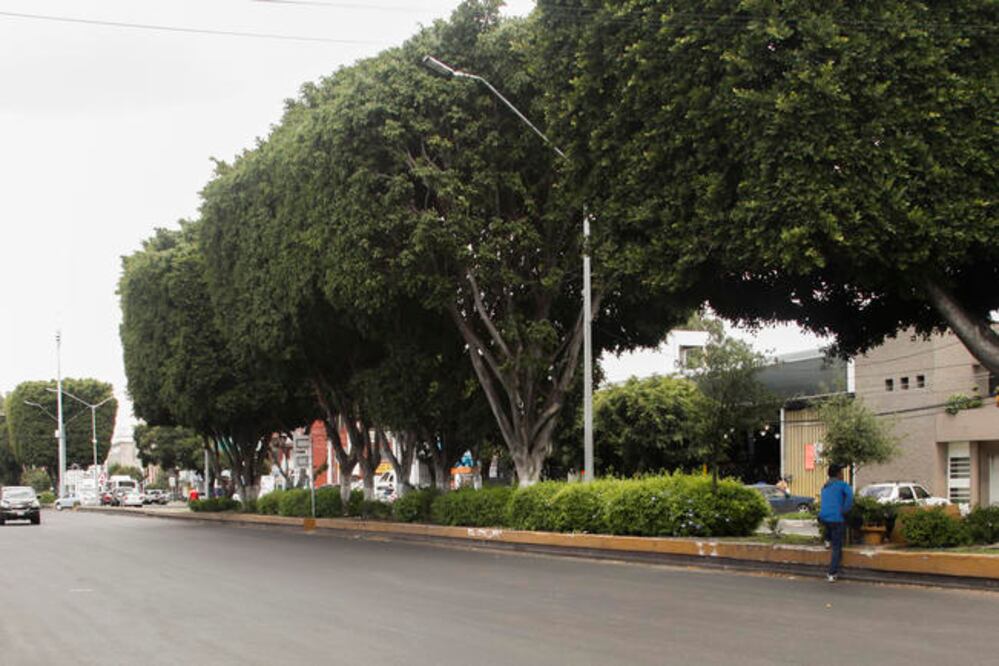 Foto: Archivo. El Universal