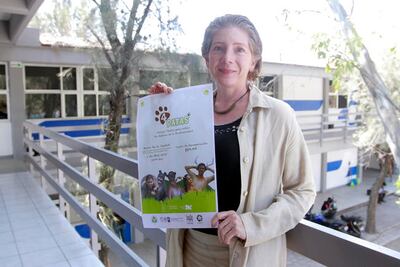 Anuncian actividades de la  Facultad de Bellas Artes