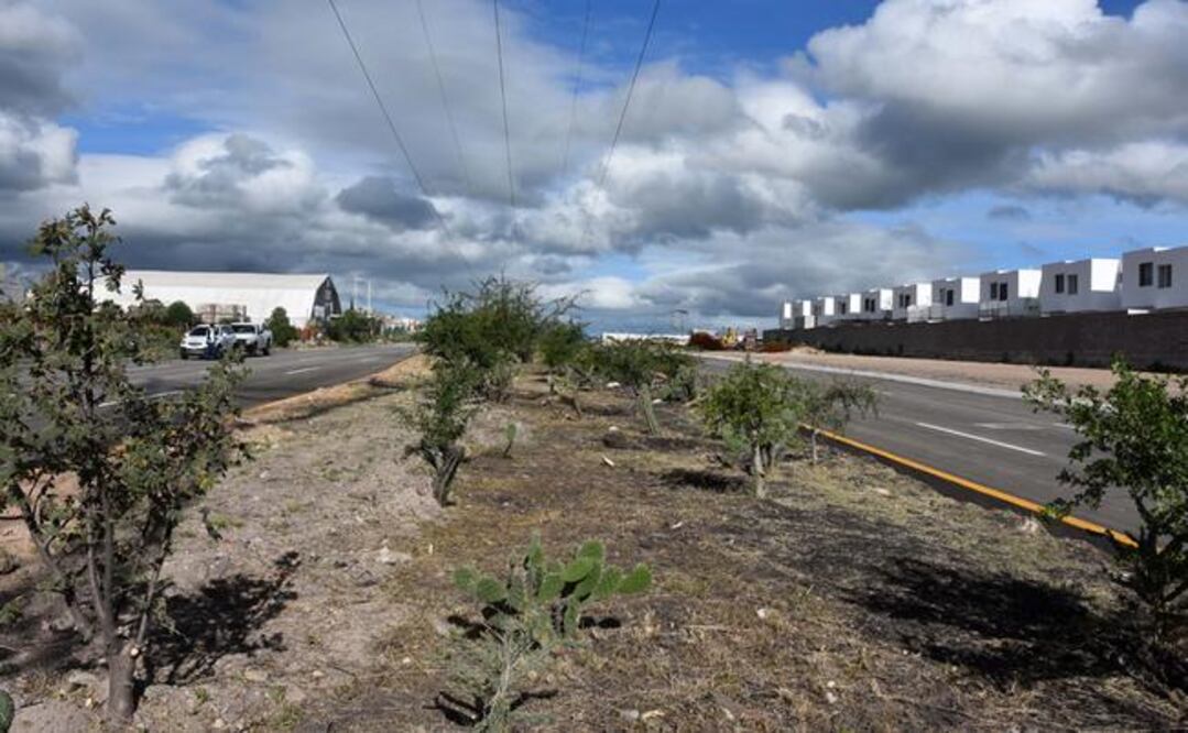 Foto: Archivo. El Universal