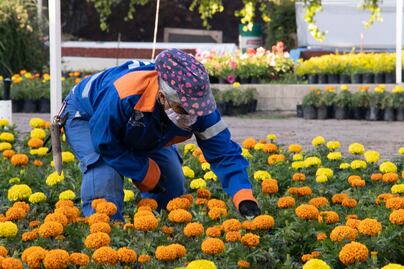 Querétaro se alista para Día de Muertos