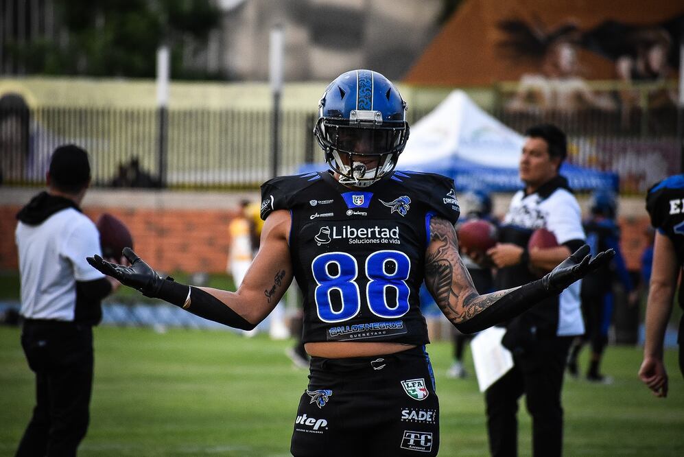 Foto: Facebook Gallos Negros LFA