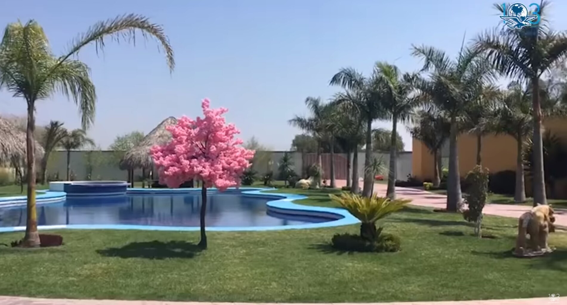 Foto: Captura de pantalla