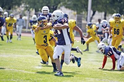 Gigantes y Gatos salvajes, por el título