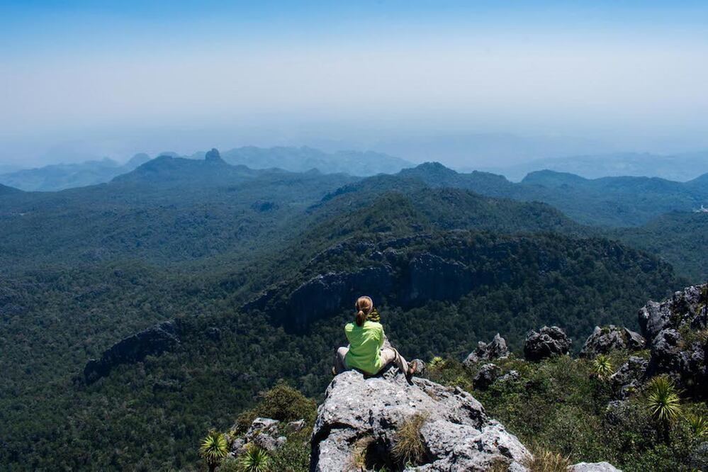 A TRAVÉS DEL PAGO DE SERVICIOS AMBIENTALES EL PROGRAMA SELLO QRO SE ENTREGAN LOS PRIMEROS PAGOS A LOS DUEÑOS DE MAS DE SEIS MIL HECTAREAS DE BOSQUE EN SIERRA GORDA