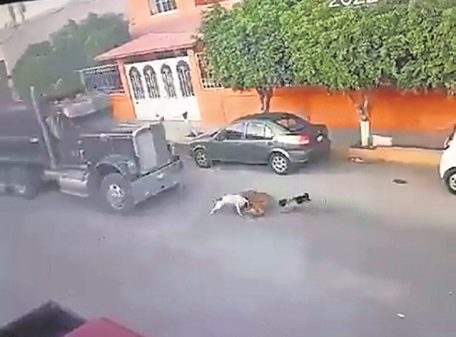 Foto: Captura de pantalla