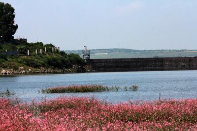 Reportan tres embalses a 100% de su capacidad