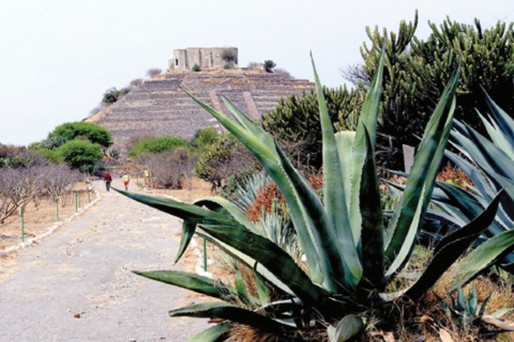 Ruta del Peregrino a la espera de recursos