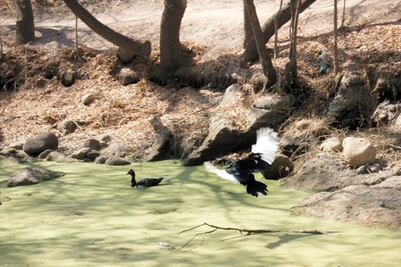 Destinan un mdp a estudio de río