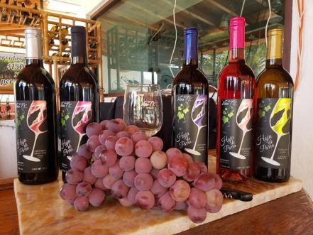 Vendimias de Querétaro. Calendario para disfrutar las fiestas de vino en 2022