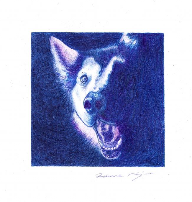 Roxy Nájar dibuja a tus mascotas