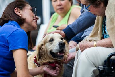 Mascoterapia. Alternativa para abuelitos