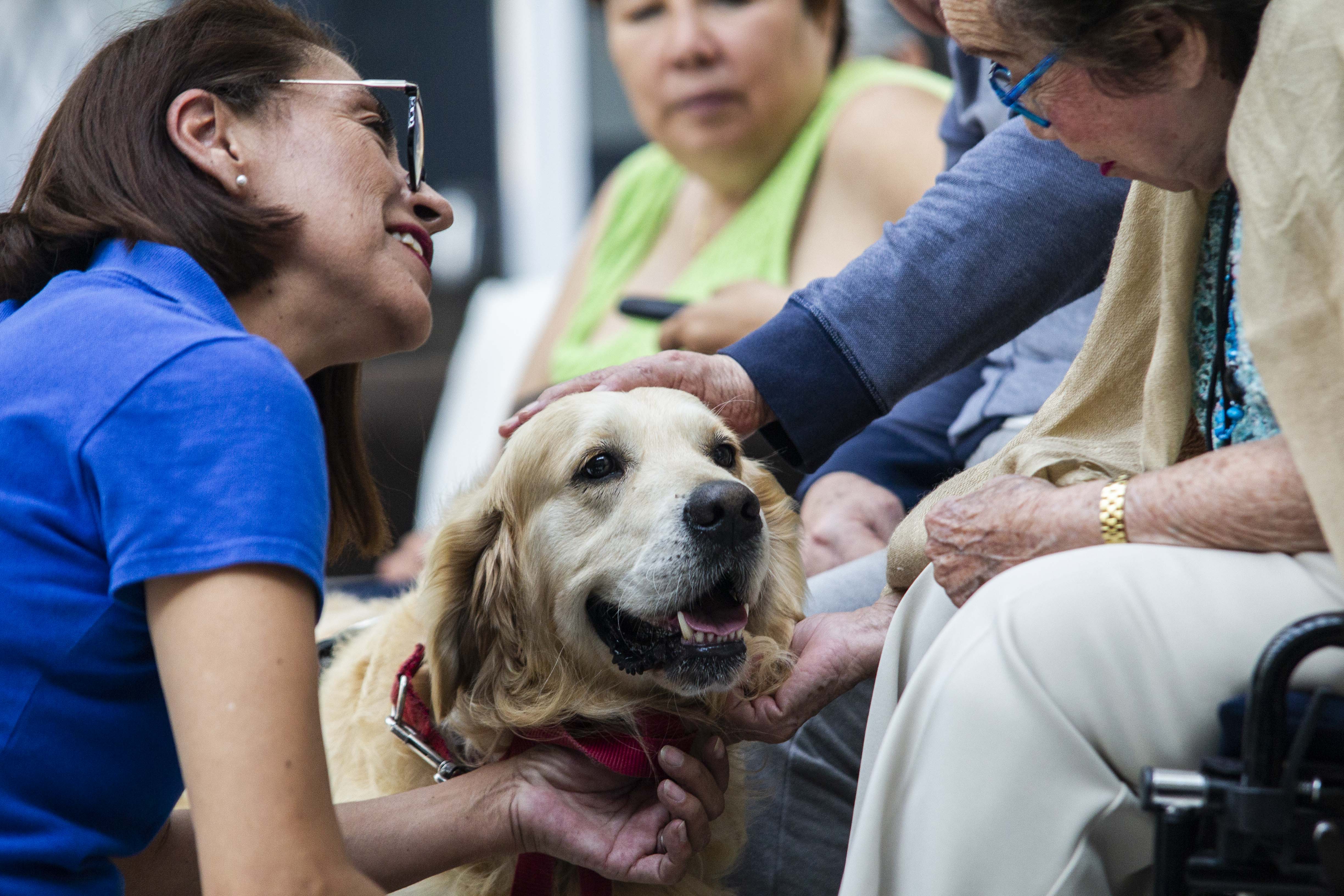 Foto: Demian Chávez