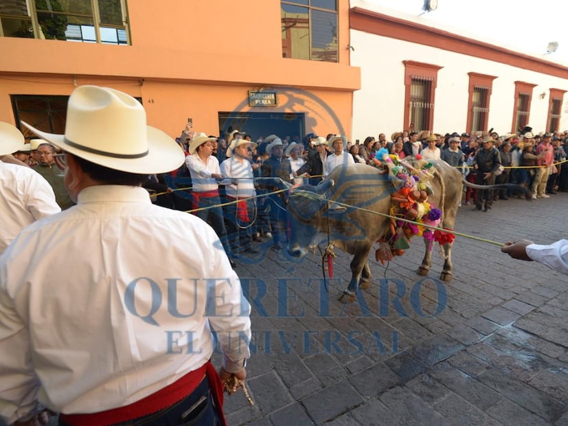 FOTO. FERNANDO CAMACHO