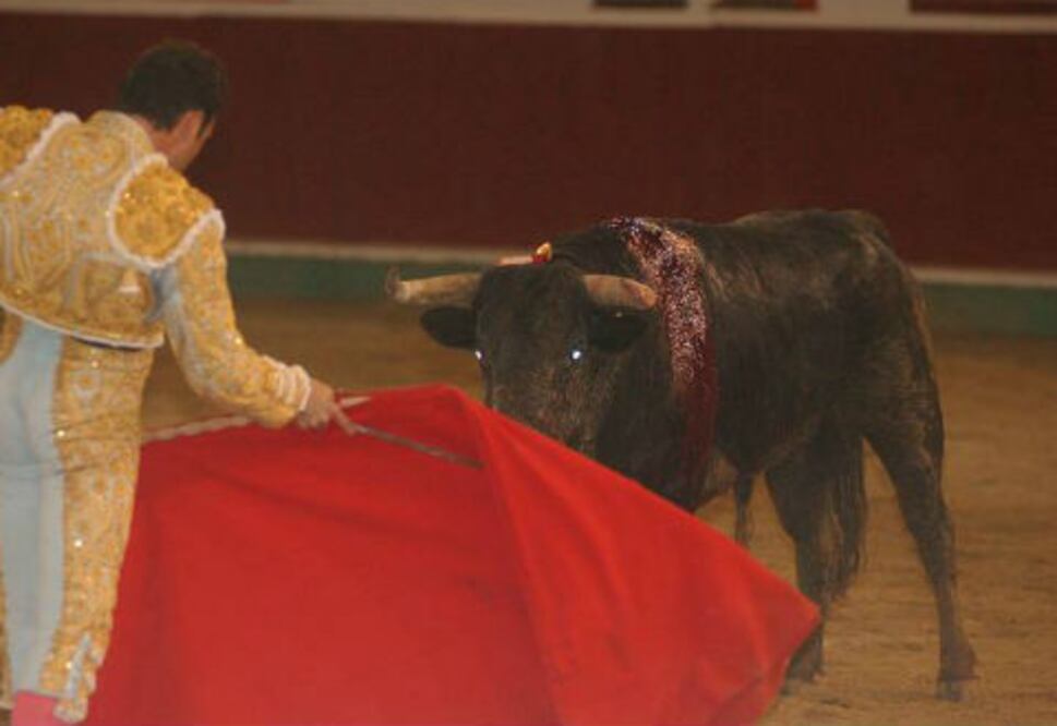 Se une PVE a eliminar corridas de toros