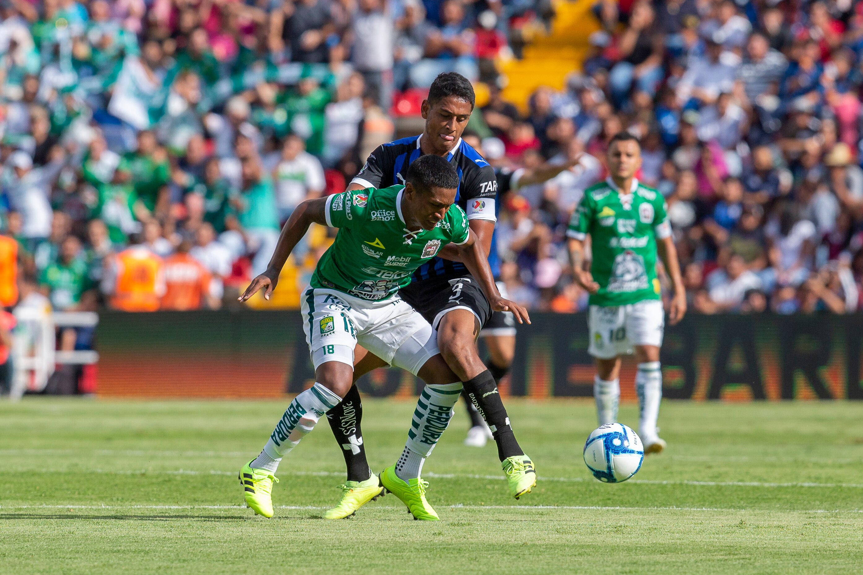 Desplumados y sin invicto