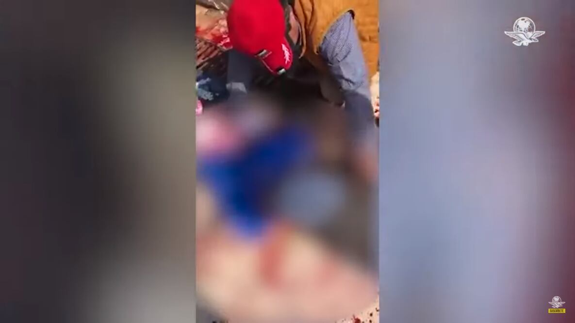 Foto: Captura de pantalla