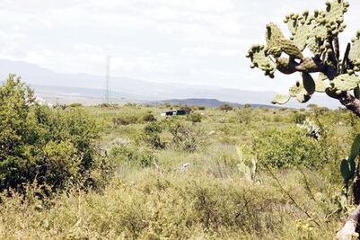 Acusan a Semarnat de atrasar ecoparque en SJR