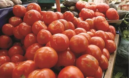 Exportadores de jitomate llegan a un acuerdo con EU para evitar aranceles