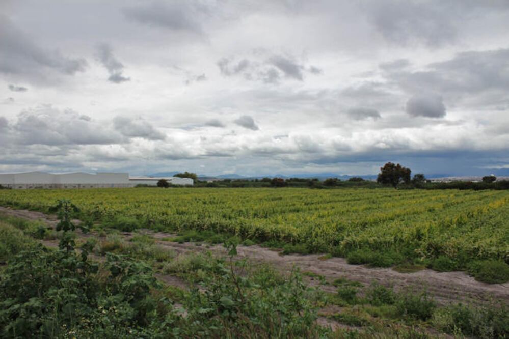 Foto: Archivo El Universal