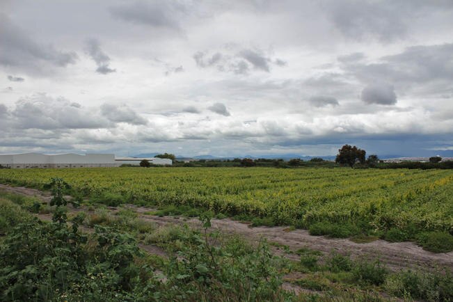 Foto: Archivo El Universal