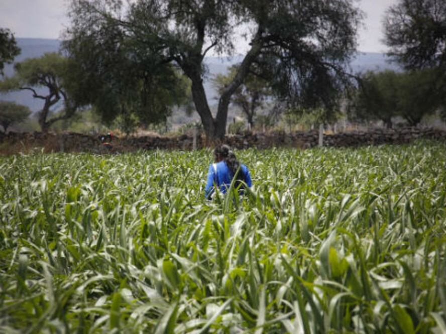 Buenas expectativas en producción 