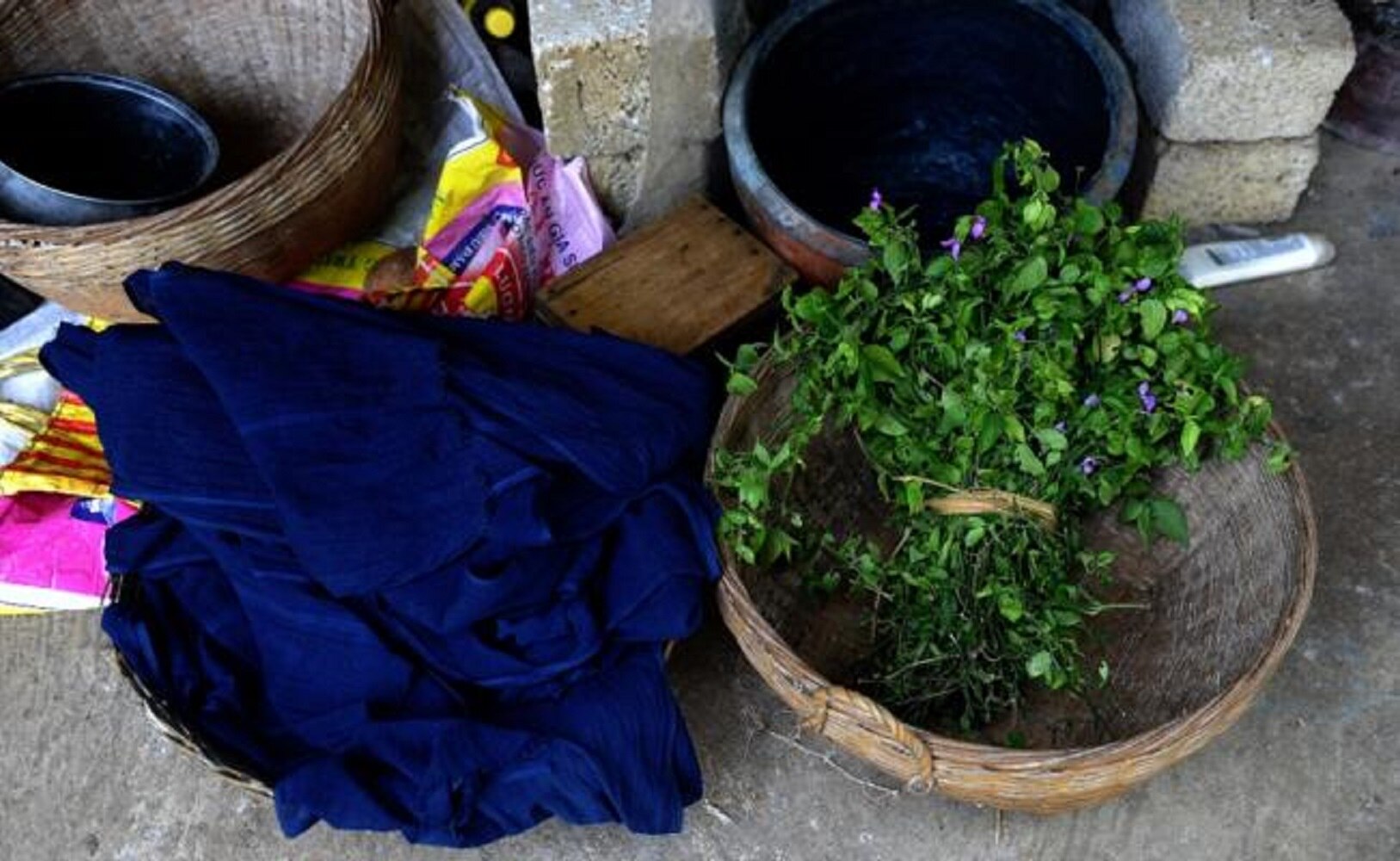 Ahora los jeans serán verdes gracias a una bacteria