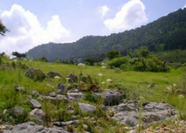 Falta escriturar zonas ecológicas