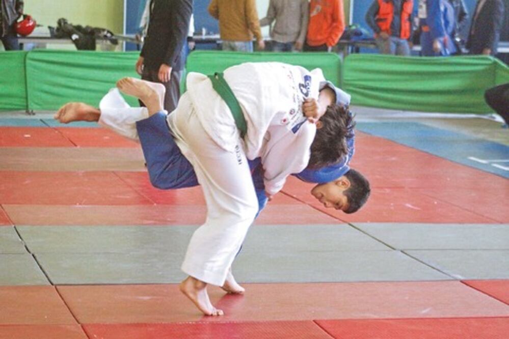 Judo va por buen camino