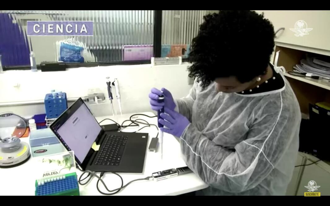 Foto: Captura de pantalla