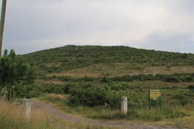 Cancelan cambio de uso de suelo; revierten 20 hectáreas a reserva ecológica en Querétaro