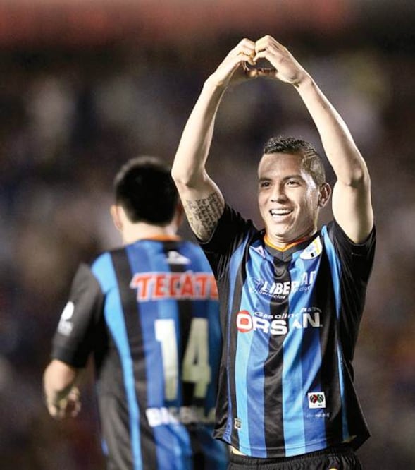 Gallos quiere un plumaje intacto