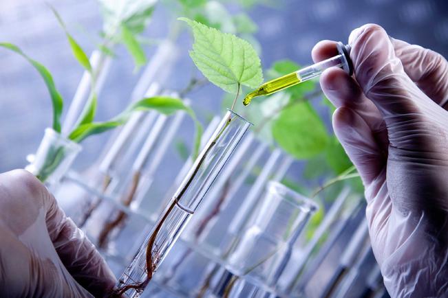 Van por inversión biotecnológica