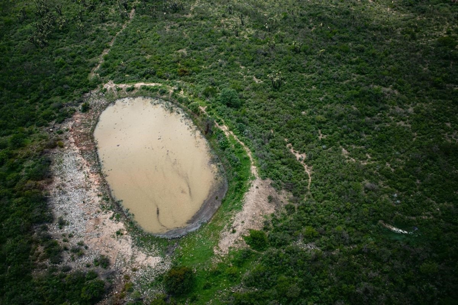 Ante riesgos de inundación, vigilan la presa del Carmen