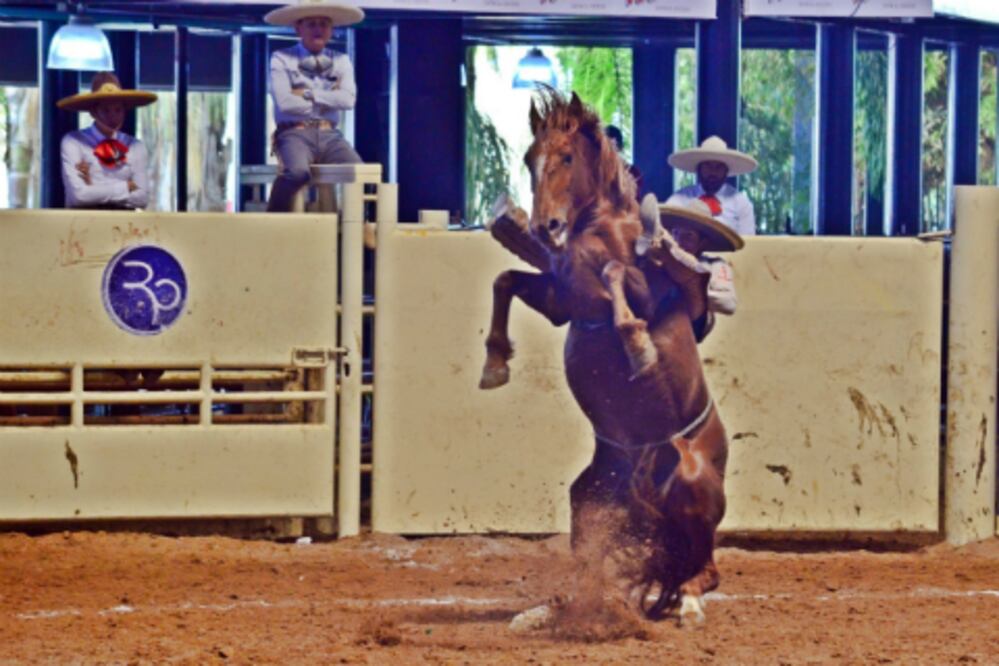 Rancho Hennessy brilla en el ruedo