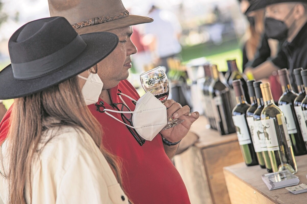Regularán la producción de vinos en Querétaro