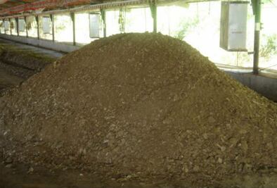 Combaten sequía en Colón 