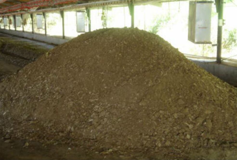 Combaten sequía en Colón