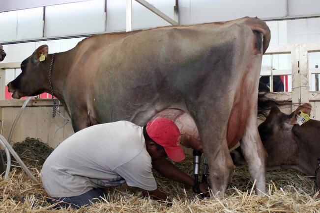 Foto: Archivo. El Universal