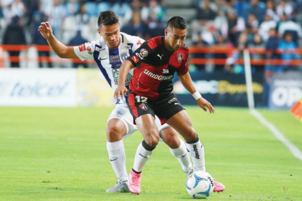 Zorro ebrio busca evitar el ‘Torito’