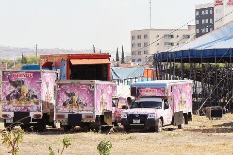 Aumentarán pena a maltrato animal