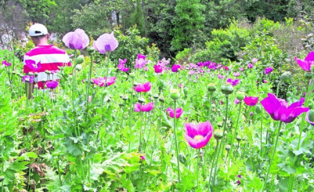 Foto: Archivo. El Universal