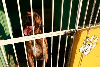 La prioridad son las personas: Guillermo Vega Guerrero