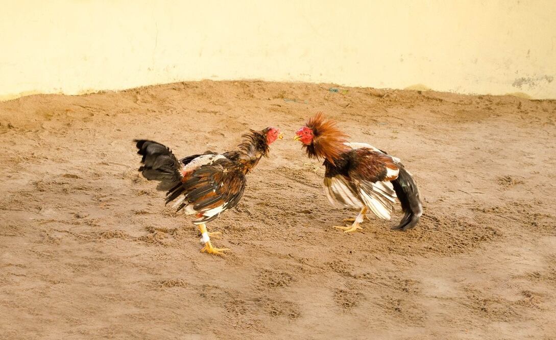 FOTO: ARCHIVO EL UNIVERSAL