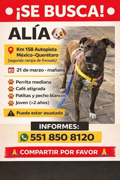 FOTO. TOMADA DE FACEBOOK