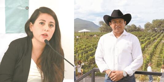 Por violencia de género, Alejandro Ochoa no participará en la contienda electoral