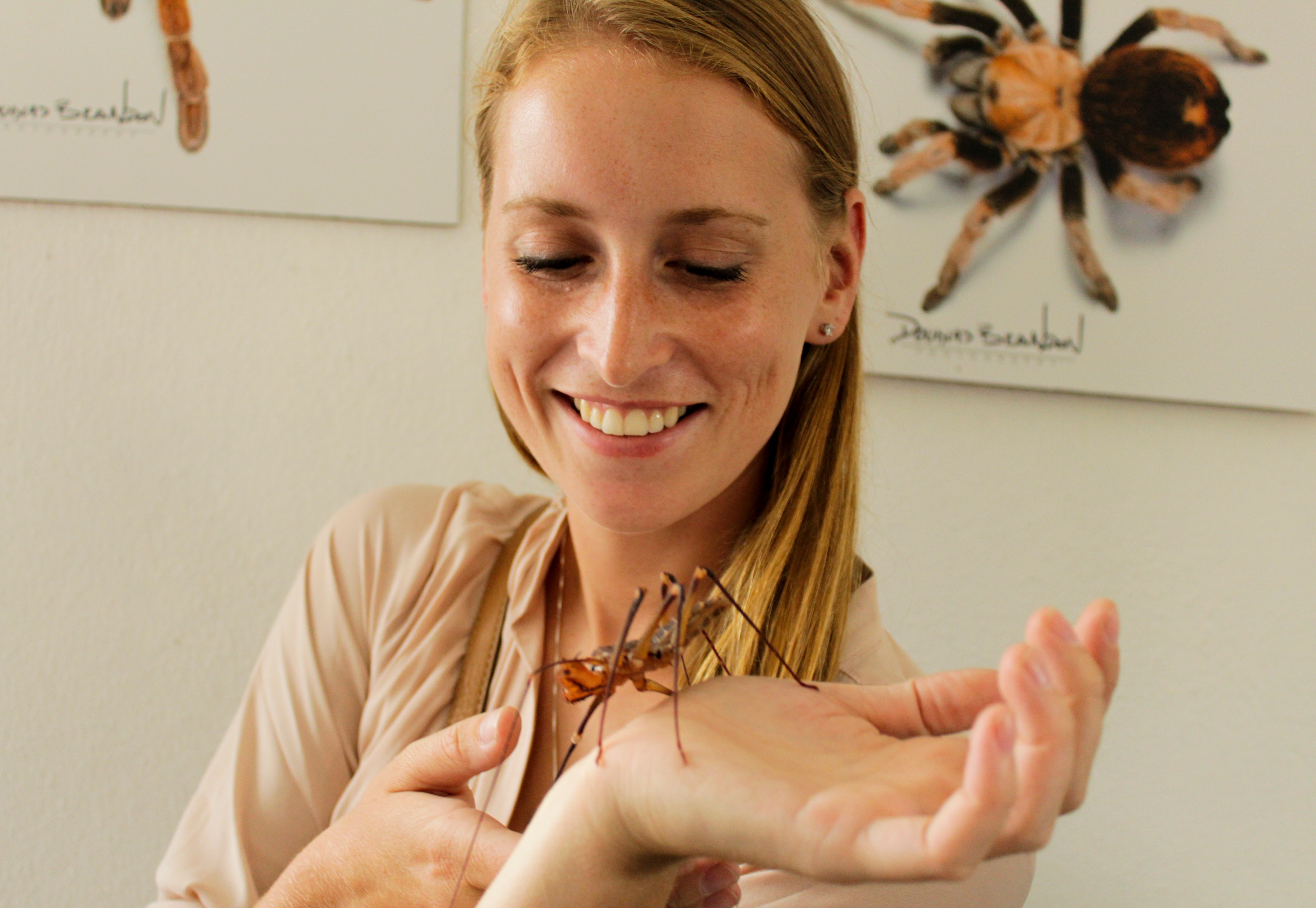 Impulsa UAQ estudio de especies arácnidas